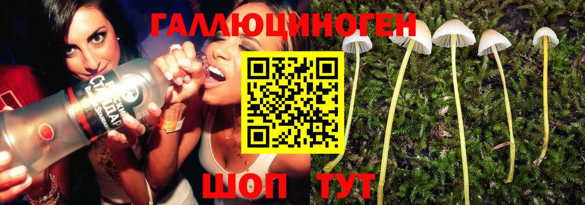 Галлюциногенные грибы прущие грибы Отрадный