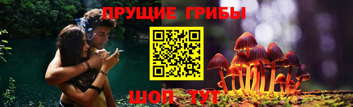 Псилоцибиновые грибы Psilocybine cubensis  как найти закладки  Вход с VPN  Отрадный  Галлюциногенные грибы Magic Shrooms 